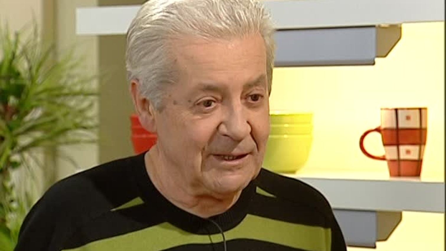 Receptář prima nápadů 2009 (38)