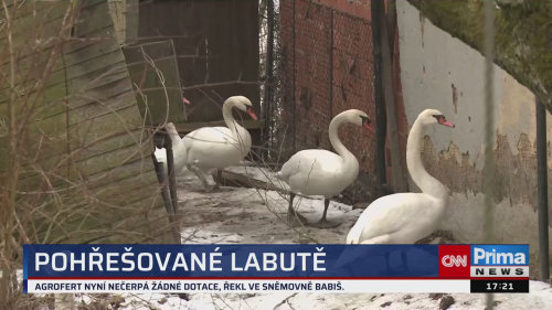 ZPRÁVY Z REGIONŮ, 3.2. v 17:25