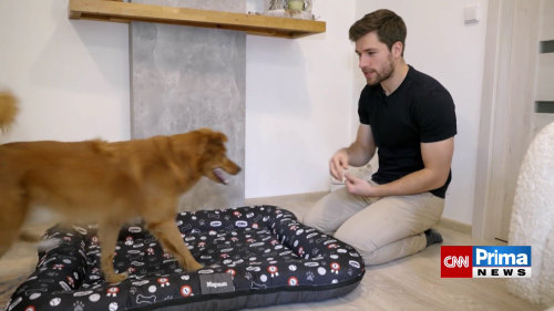 Jak trénovat povel "místo"