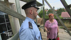 Policie v akci