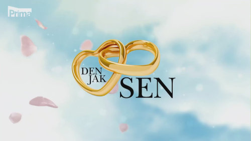 Den jak sen (9) - Projekt