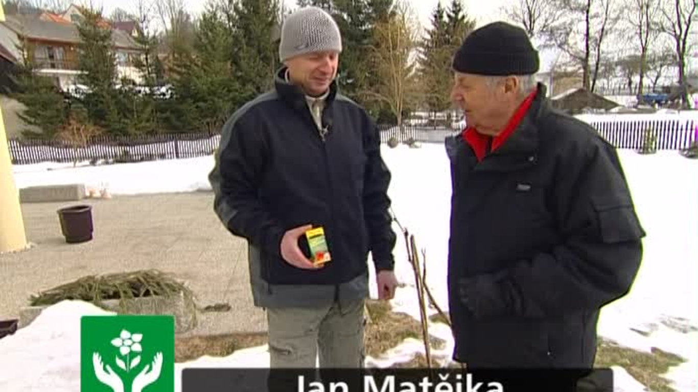 Receptář prima nápadů 2010 (11)