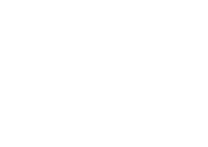 Největší žralok bílý na světě?