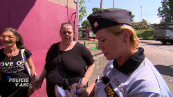 Policie v akci