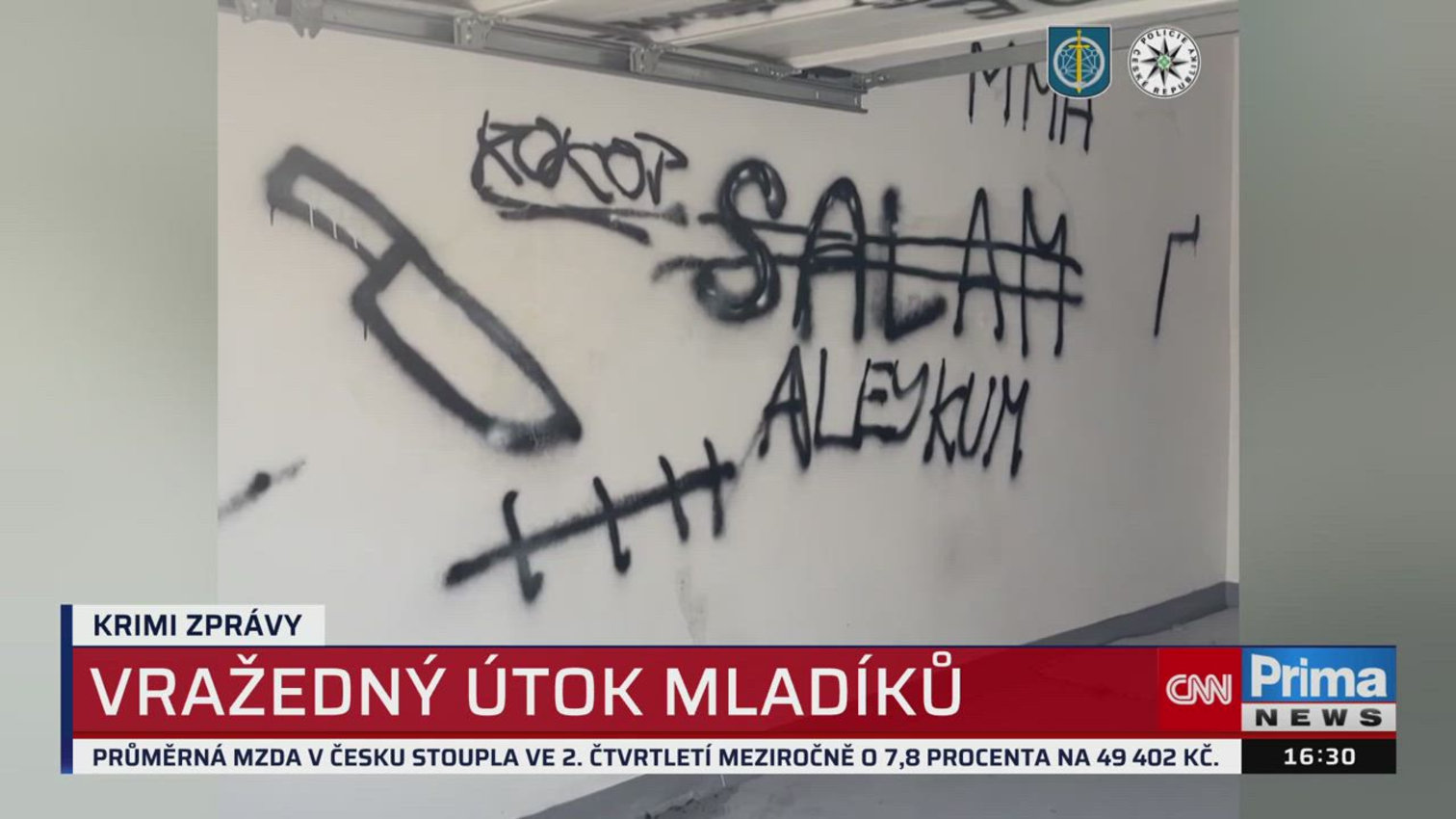 Náhled videa