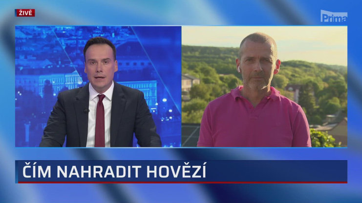 Náhled videa