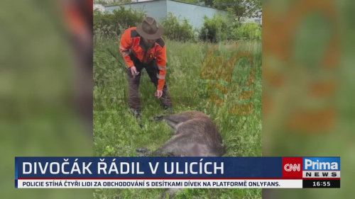 ZPRÁVY Z REGIONŮ, 2.6. v 16:55
