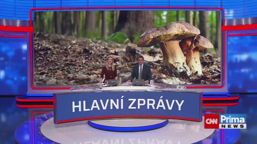 Lesy o víkendu zaplavili houbaři
