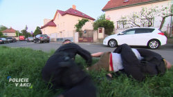 Policie v akci