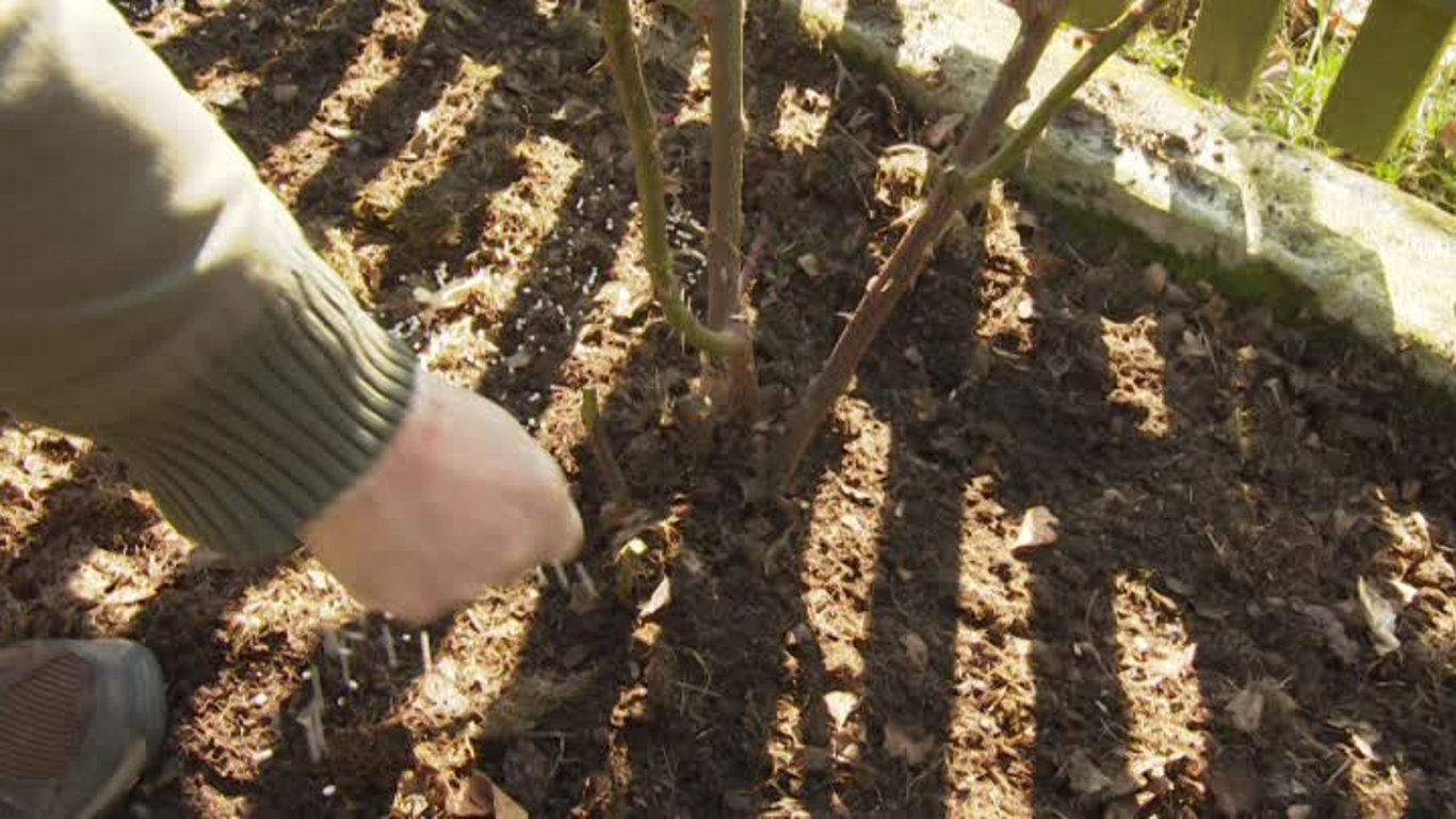 Receptář prima nápadů 2014 (12)