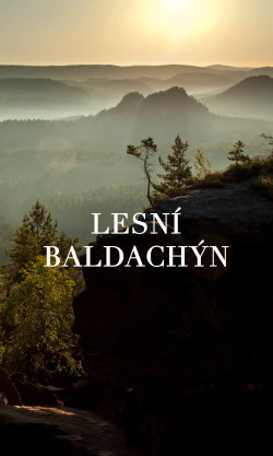 Lesní baldachýn