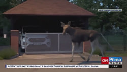 Los se přesunul ke Zlínu