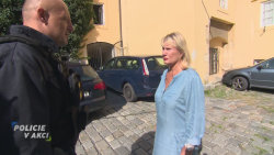 Policie v akci