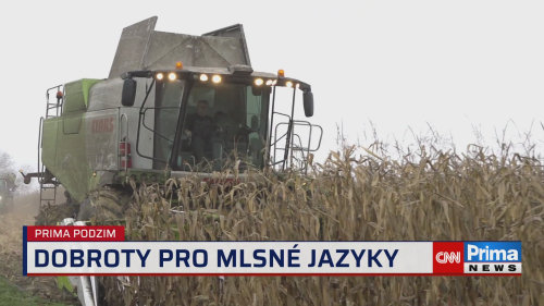 Prima ROK, 5.12. v 15:40