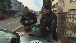 Policie v akci