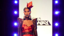 Amerika hledá návrháře S17 (6)