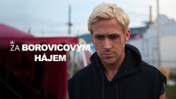Za borovicovým hájem