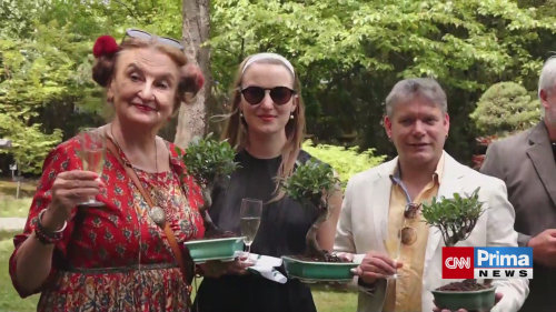 Eva Holubová na výstavě bonsají