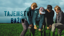 Tajemství bažin