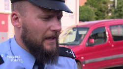 Policie v akci