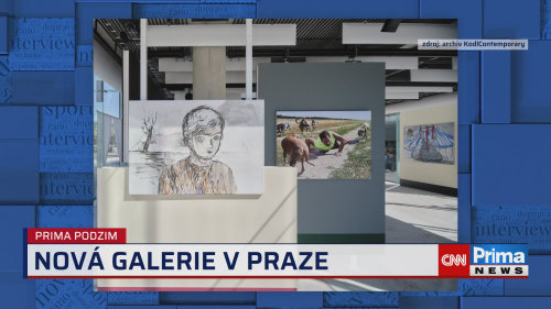 Prima ROK - 7.11. v 15:40