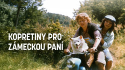 Kopretiny pro zámeckou paní