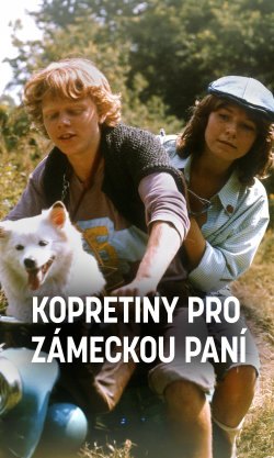 Kopretiny pro zámeckou paní