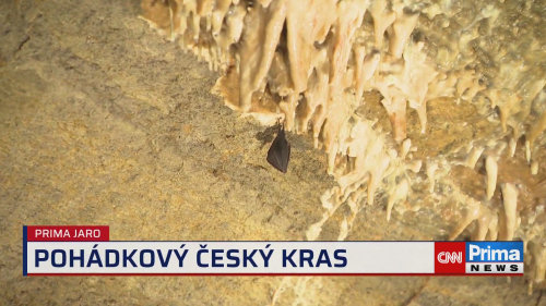 Prima ROK, 15.5. v 15:40 - Koněpruské jeskyně