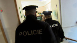 Policie v akci