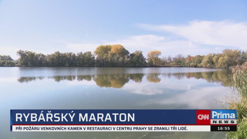 ZPRÁVY Z REGIONŮ, 16.10. v 16:55