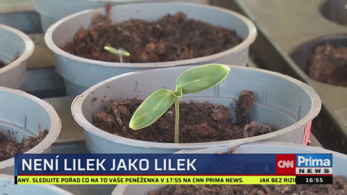 ZPRÁVY Z REGIONŮ, 28.5. v 16:55