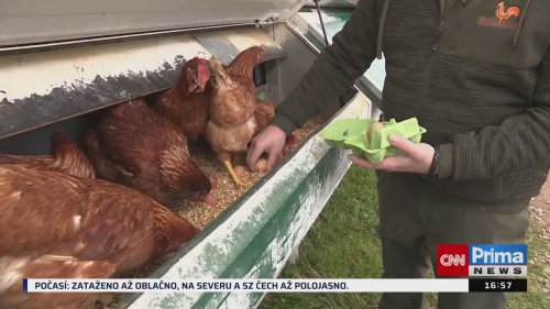 ZPRÁVY Z REGIONŮ - 6.5. v 16:55