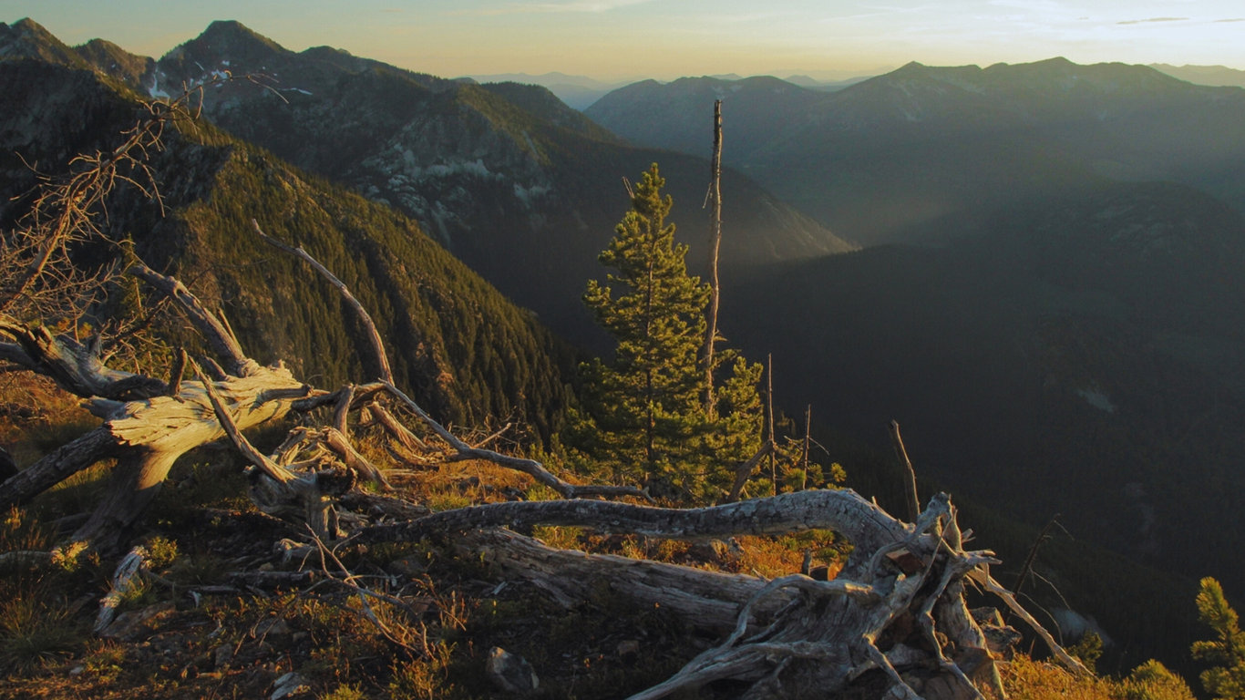 Darkwoods: Perla Britské Kolumbie