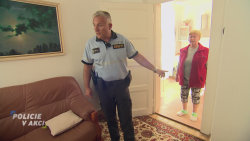 Policie v akci
