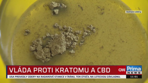 ZPRÁVY, 1.6. v 11:00