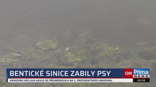 ZPRÁVY Z REGIONŮ, 10.9. v 16:55