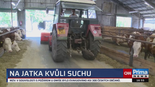 ZPRÁVY Z REGIONŮ, 15.8. v 16:55