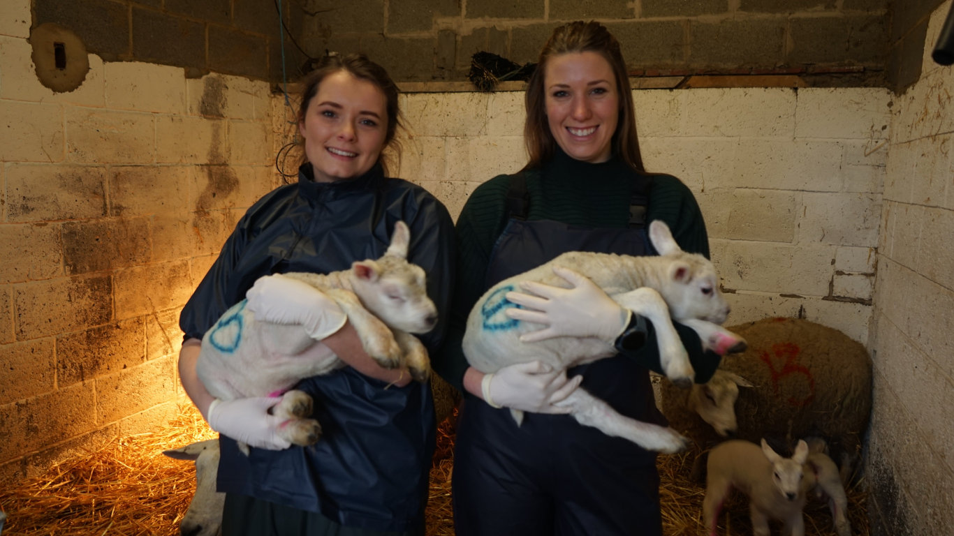 Veterinář z Yorkshiru S12 (11)