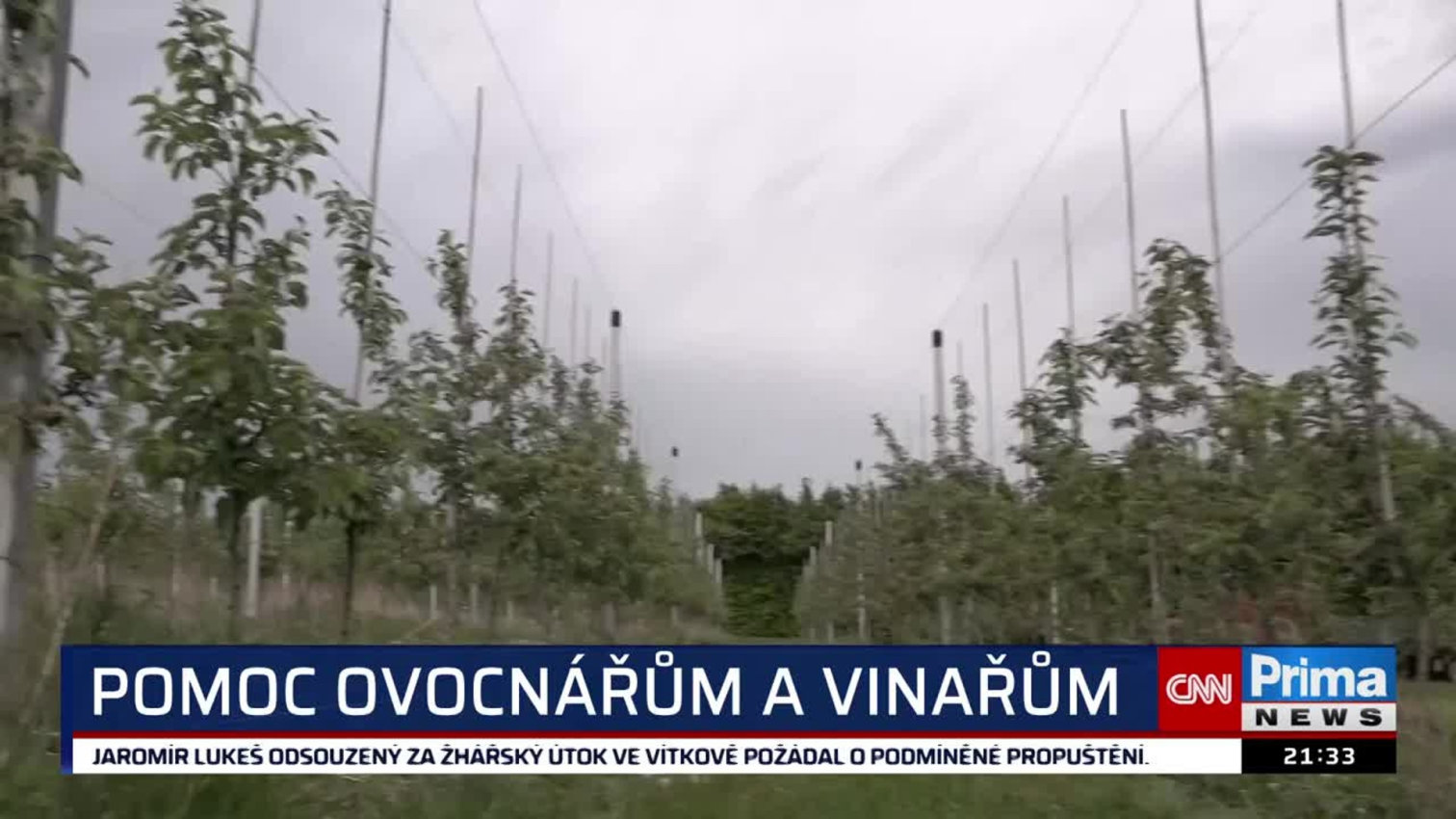 Náhled videa