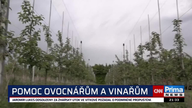 Náhled videa