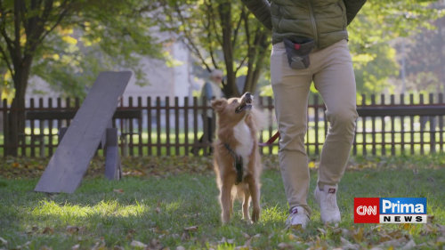 PRIMA MAZLÍČEK, 22.11. v 12:48