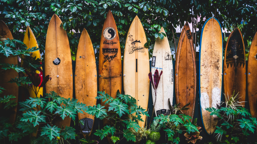 Prima SVĚT, 15.2. v 09:25