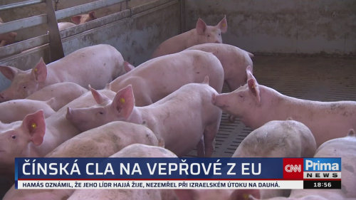 HLAVNÍ ZPRÁVY - 13.9. v 18:55