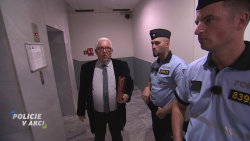 Policie v akci