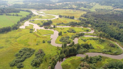 Vltava: Zlatá řeka