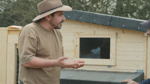 Vojta Kotek má slepice a kohouta - Farma Vojty Kotka (S1E3)