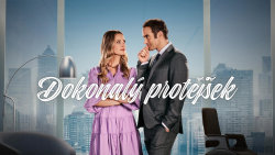 Dokonalý protějšek