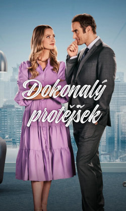 Dokonalý protějšek