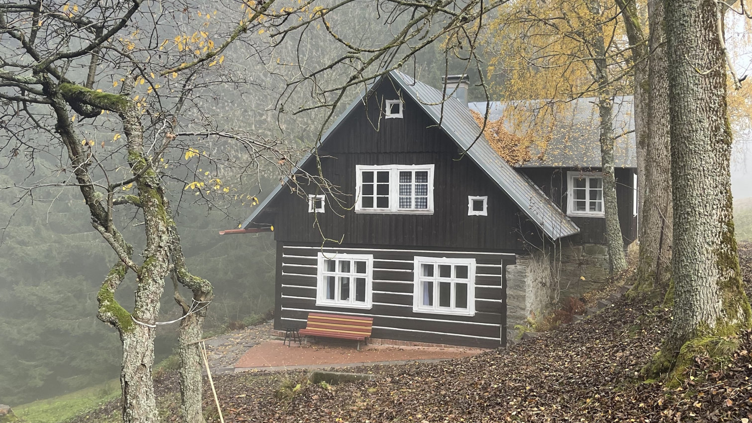 Náhled videa