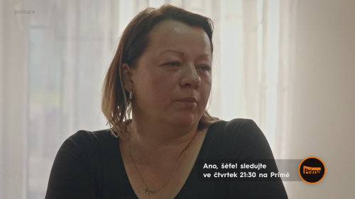 Otec a syn – Ano, šéfe! 2026